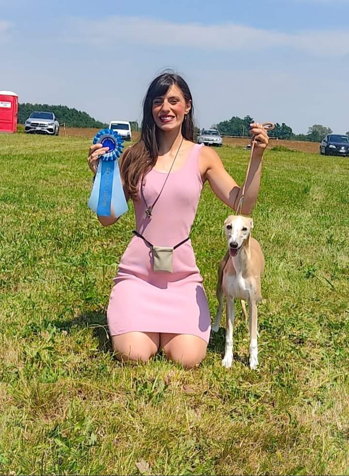 IDS DOG SHOW FUBINE (IT) 12/06/2021