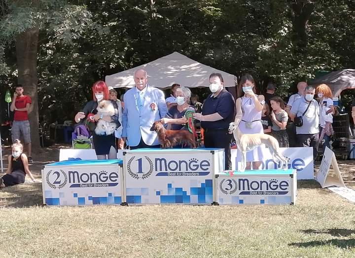 NDS Seveso 29/08/2021