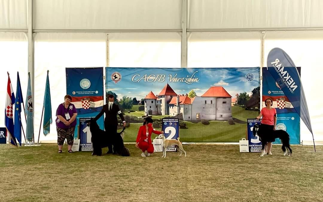 International Dog Show Varazdin (Croatia) 11/07/2021