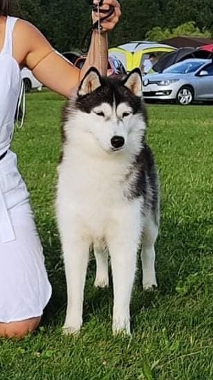 Postonja (Summer Winner 2021)! INDY ??NEW SLOVENIAN CHAMPION??